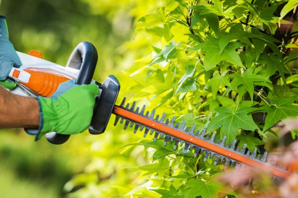 häcksax bäst i test