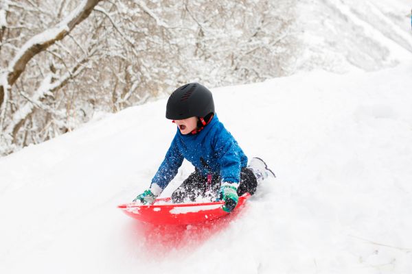 pulka bäst i test pulka bäst i test